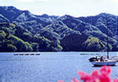 相模湖